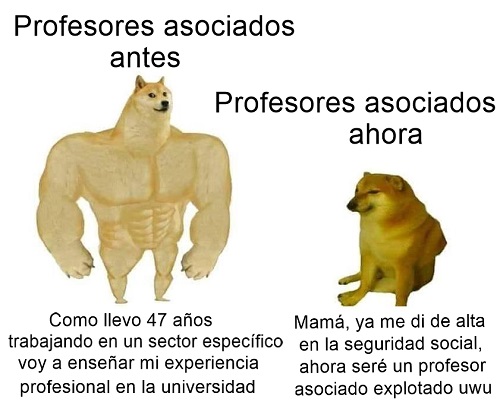 profesor-asociado